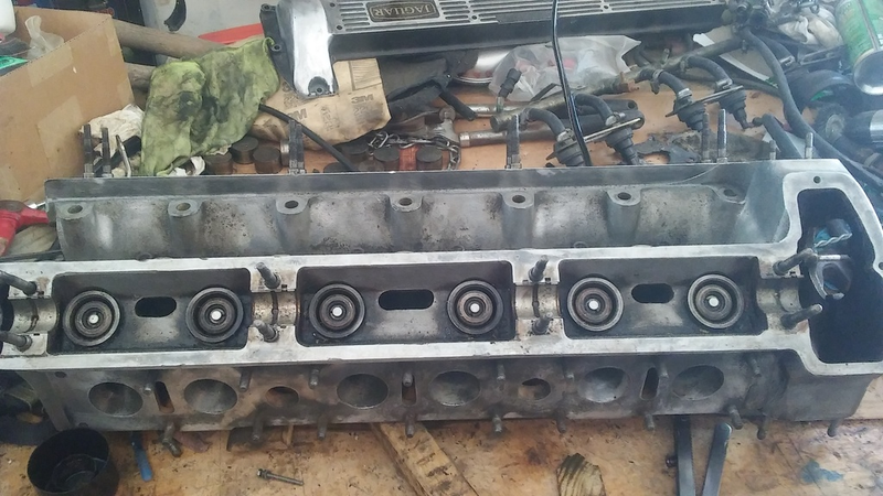 happy little head with all the valves nice and retained